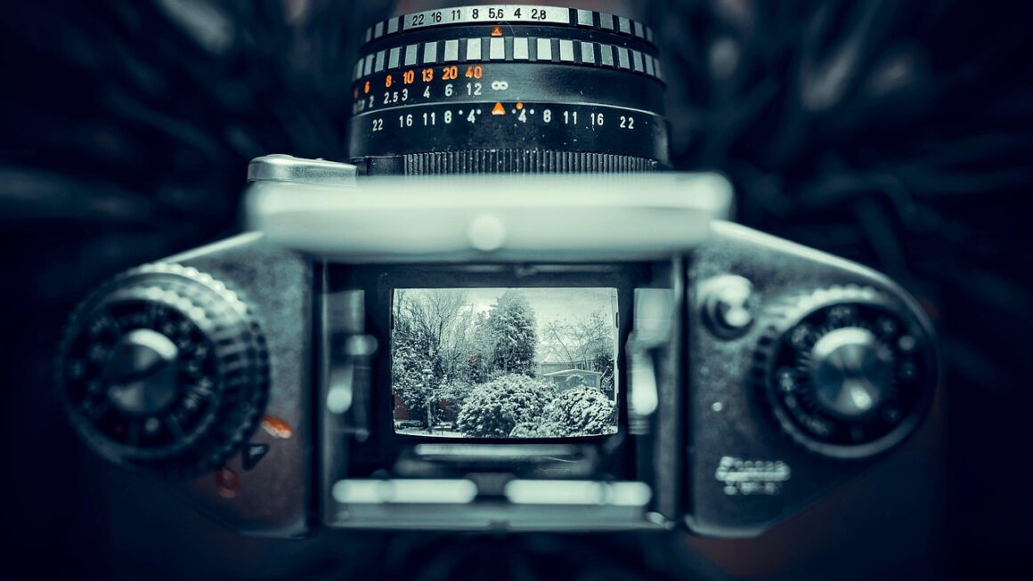 Technology Policy Explained: Understanding Government Regulation of Innovation