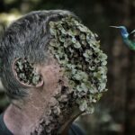 10 Essential PowerPoint Tips for Teachers: Enhance Your Presentations